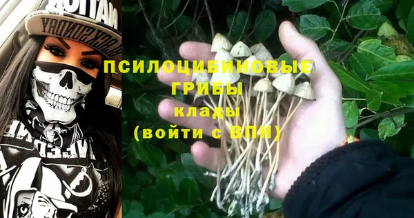 MDMA Каменногорск