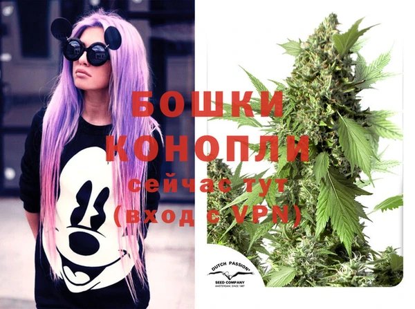 MDMA Каменногорск