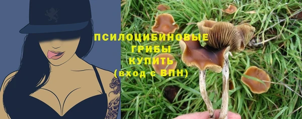 MDMA Каменногорск