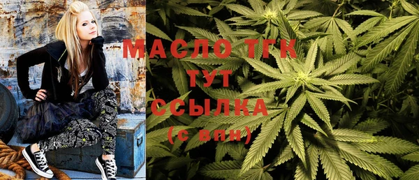 амфетамин Каменка