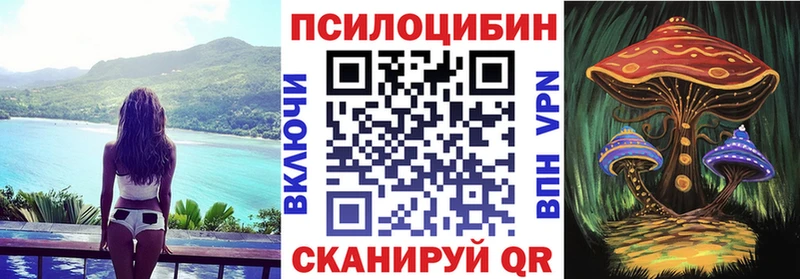 Купить где  Прохладный  Галлюциногенные грибы Psilocybine cubensis 
